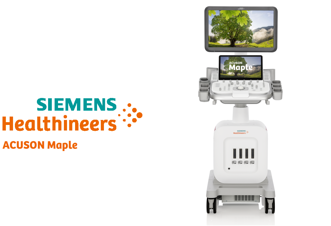 Siemens ACUSON Maple 